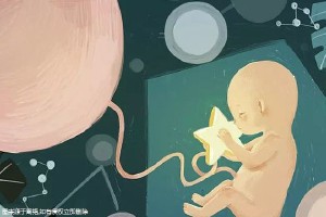 首席专家